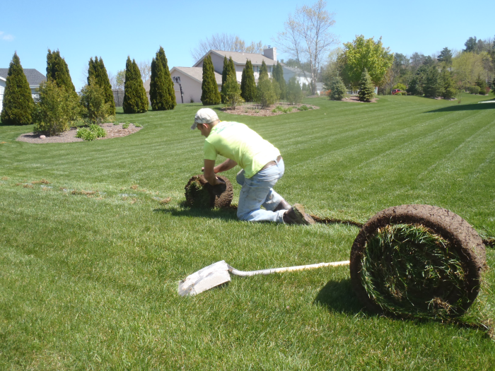 Mequon drains